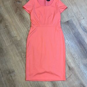 NWT - The Limited Sheath Dress
